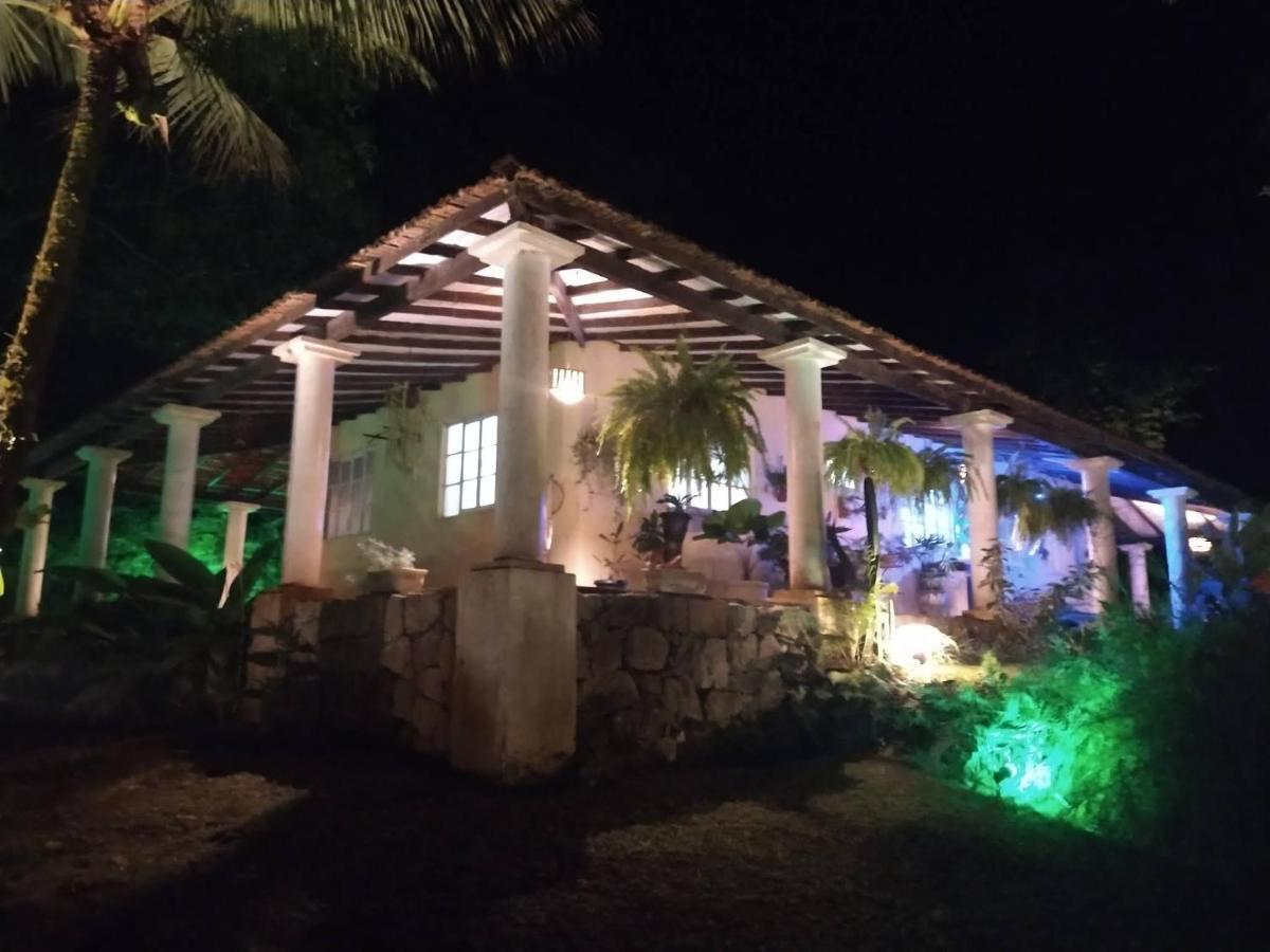 فيلا Casa Paraiso De Aldeia Velha المظهر الخارجي الصورة